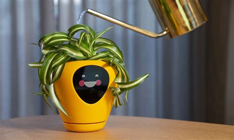 This Smart Planter Will Let You Know Its “Feelings” Via An Integrated Digital Display