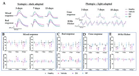 Electroretinography results in rats with BCG-induced uveitis showing... | Download Scientific ...