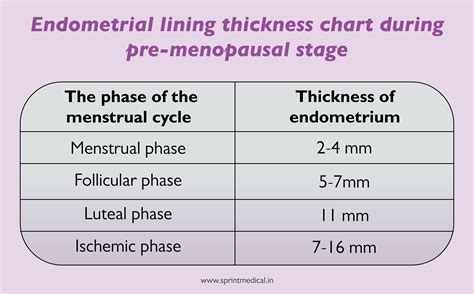 Endometrial Stripe Thickness Chart