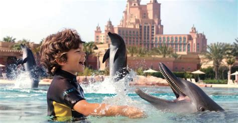 Dubai: Dolphin Encounter at Atlantis Waterpark | GetYourGuide