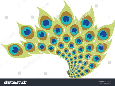 Stylized Peacock Feathers Vector Feather Design Stock Vector (Royalty ...