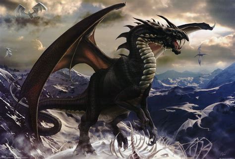 Seres Mitologicos: Dragones