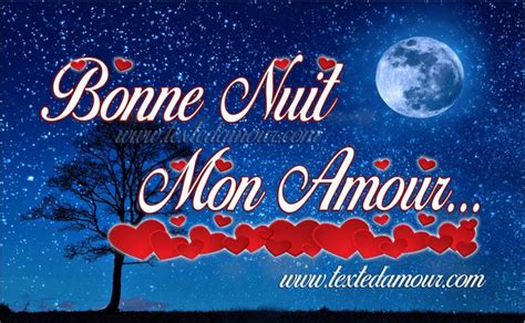 Bonne nuit mon amour sms - Textes et messages d'amour | Bonne nuit mon ...