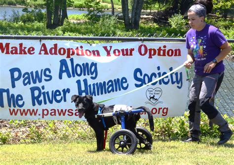 Humane Society eyes homes for shelter full of animals | News, Sports, Jobs - Times Observer