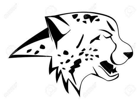 Cheetah Drawing Step By Step at GetDrawings | Free download