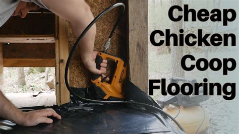 Cheap Chicken Coop Flooring || using what we have for our CHICKENS! - YouTube