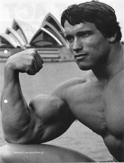 arnold schwarzenegger bodybuilding bodybuilder barbell dumbbells gyms ...