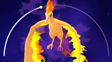 Pokemon GO Shiny Shadow Moltres guide