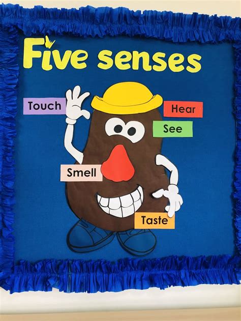 Five Senses Board | Preschool bulletin boards fall, Preschool bulletin boards, Kindergarten ...