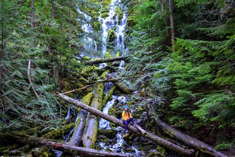 18 Incredible Oregon Waterfalls to Chase - Go Wander Wild