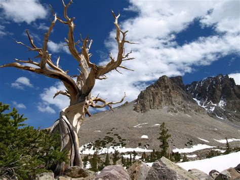 Great Basin National Park in Nevada is a Hidden Gem of The West