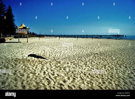 Glenelg beach resort adelaide hi-res stock photography and images - Alamy