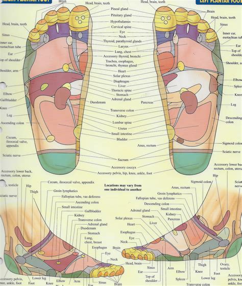 Reflexology Treatments - Ayuroma Massage Therapies