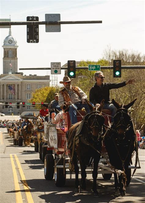 'Mule Day is back': Parade brings spirit, fun to Columbia in 49th year