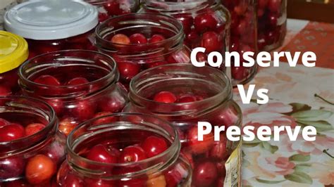 Conserve vs Preserve? What is the Difference in Meaning? - One Minute ...