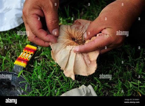 Cheyenne Arapaho High Resolution Stock Photography and Images - Alamy