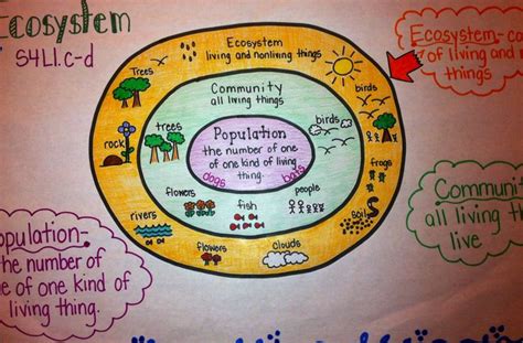 Ecosystem anchor chart | Science | Pinterest | Anchor charts, Love and Charts