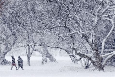 Este de EU está en alerta al aproximarse tormenta de nieve - Tiempos de Tamaulipas