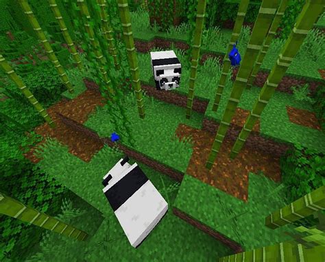 Bamboo Jungle in Minecraft