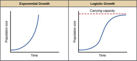 Environmental Limits to Population Growth | Biology for Majors II