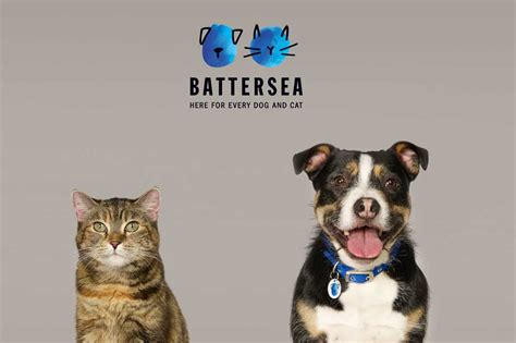 Battersea drops 'Dogs & Cats Home' from its name | Third Sector