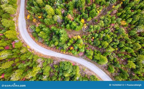 Aerial View of a Winding Road in the Pacific Northwest Forest in Autumn Stock Image - Image of ...