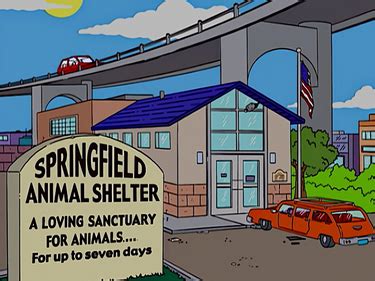 Springfield Animal Shelter - Wikisimpsons, the Simpsons Wiki