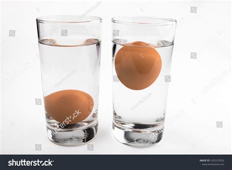 2,064 Test Fresh Egg Images, Stock Photos & Vectors | Shutterstock