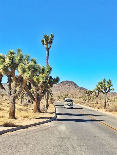 8 Things to Do in Joshua Tree National Park | Traveling Spud Explore Southern California ...