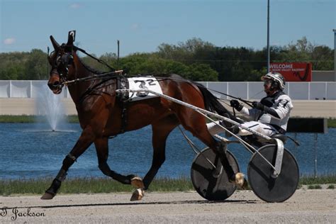 miami valley harness racing schedule - lamontagnefaruolo