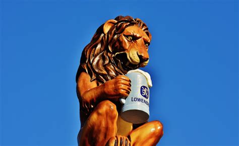 Free Images : lion, muscle, bavaria, tradition, gastronomy, munich ...