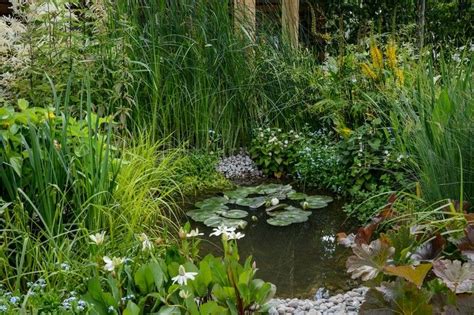 Ponds in shady gardens | Water features in the garden, Pond plants, Pond landscaping