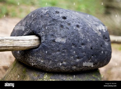 Chico mendes hi-res stock photography and images - Alamy