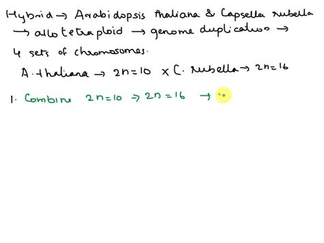 SOLVED: Arabidopsis thaliana has 2n = 10 chromosomes, and a close relative Capsella rubella has ...