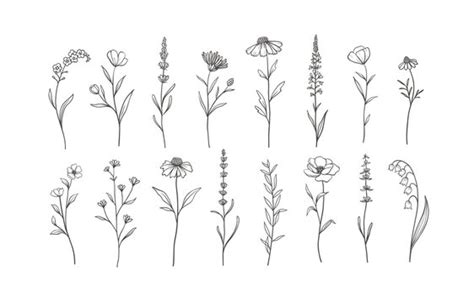 Wildflower Field Drawing