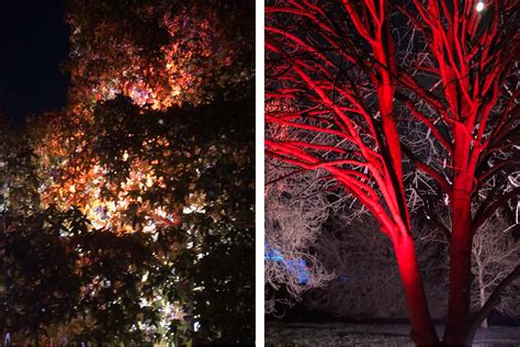 Christmas at Kew - The Garden Post