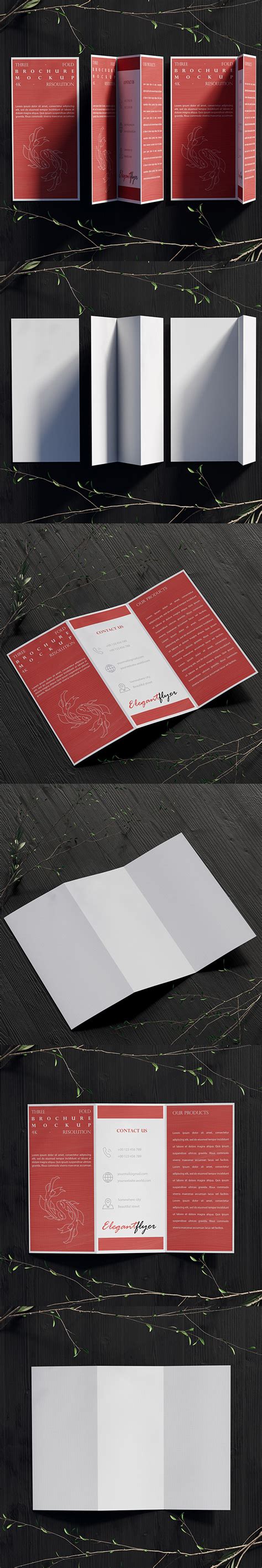 Tri-Fold Brochure Mockup on Behance