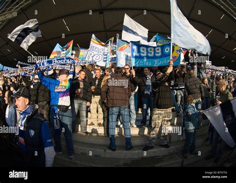 fans of german football club VfL Bochum show their colors in the stands Stock Photo - Alamy