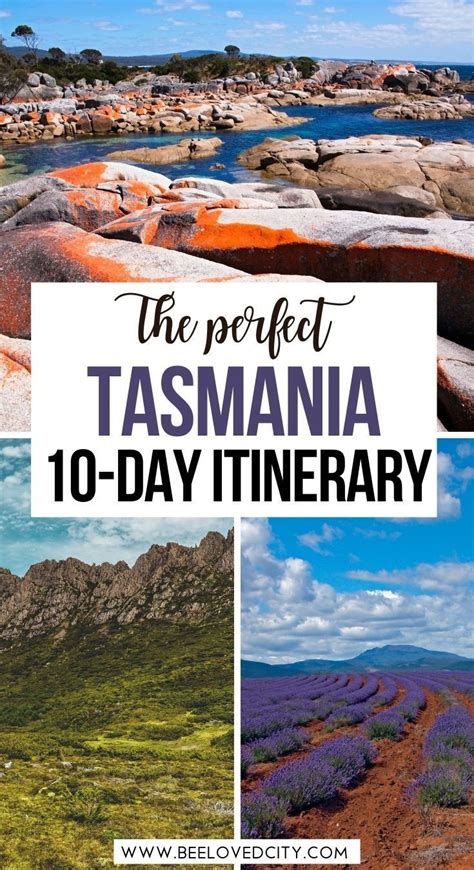 The PERFECT Tasmania Itinerary 10 days - BeeLoved City | Tasmania road ...