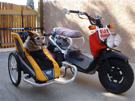 moped dog side car - Google Search | Honda ruckus, Sidecar, Bike with ...