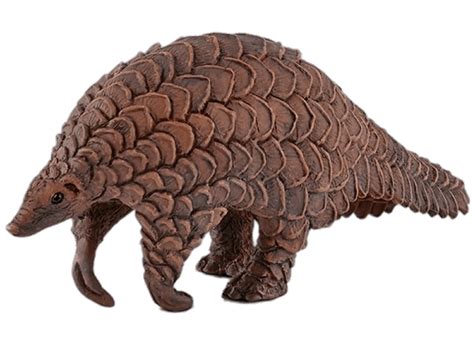 Pangolin Png