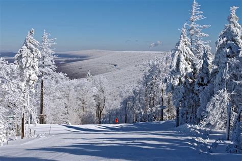 Timberline Mountain - Elkins-Randolph County Tourism