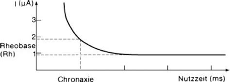 Chronaxie - Lexikon der Neurowissenschaft