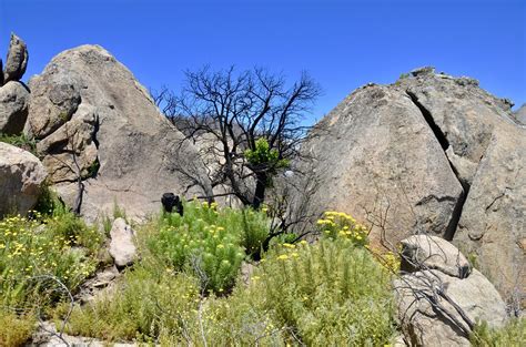 Paarl Mountain Nature Reserve - Necessary Indulgences