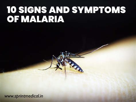 10 Signs and Symptoms of Malaria | Sprint Medical