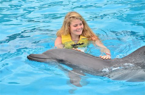 Where to swim with dolphins in Riviera Maya | Dolphinaris