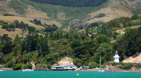 Akaroa Lighthouse - Tours and Activities | Expedia