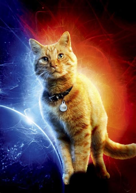 goose the cat superhero | Captain marvel, Marvel wallpaper, Marvel characters