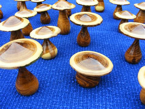 Wooden mushrooms or toadstools | Acorn Woodturning