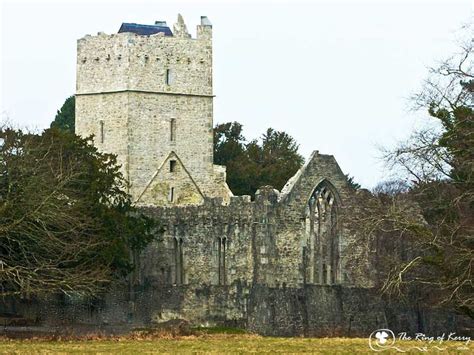 Muckross Abbey - An Old Irish Monastery & Modern Irish Graveyard